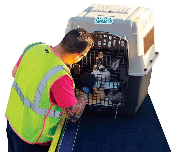 An airport worker in a safety vest checking on a dog in a pet carrier.