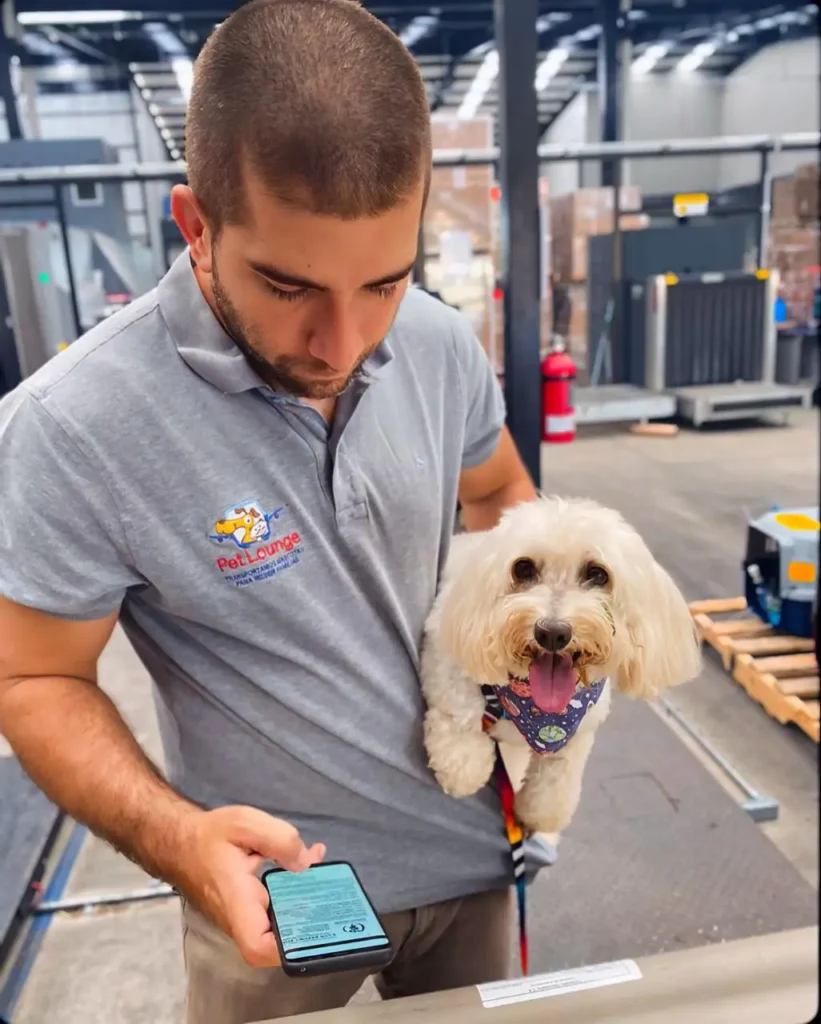 A man in a Pet Lounge uniform checking his phone while holding a small white dog.