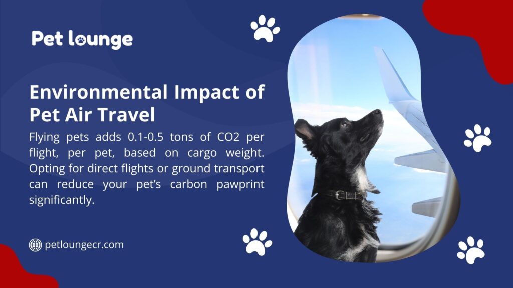 A black and white dog looks out of an airplane window, with text highlighting the environmental impact of pet air travel, noting 0.1-0.5 tons of CO2 per flight per pet, and suggesting direct flights or ground transport to reduce carbon pawprint.