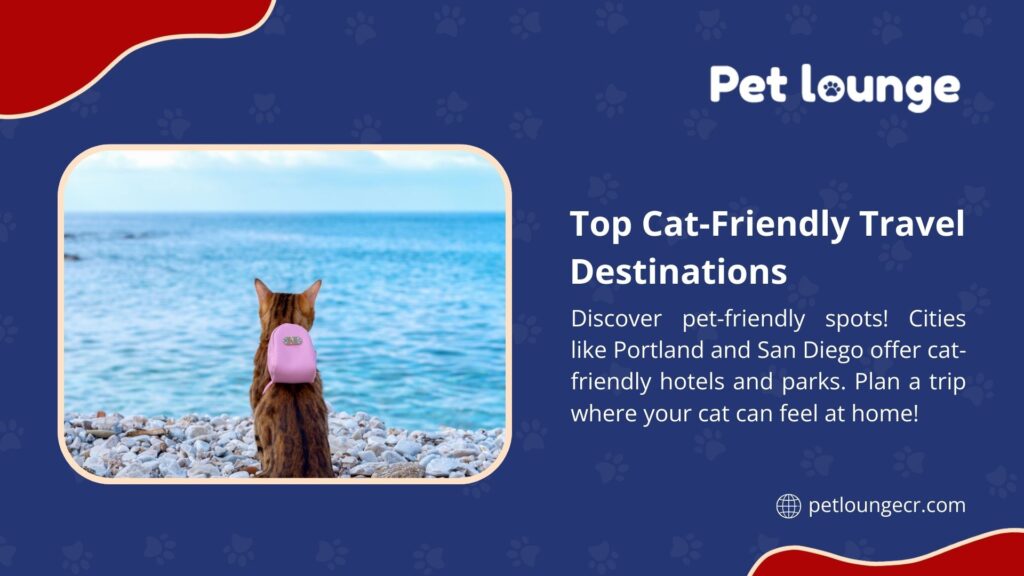 A cat with a pink backpack by the sea, promoting top cat-friendly travel destinations like Portland and San Diego from Pet Lounge.