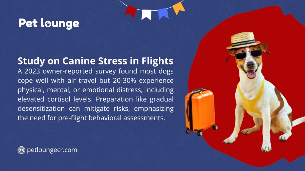 Perro con sombrero y gafas de sol junto a una maleta naranja, destacando estudios sobre el estrés canino en vuelos.